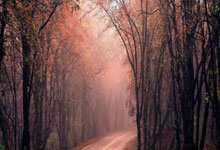 河南水处理设备|选择合适设备的重要性与优势