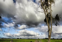 河南水处理设备|选择合适设备的重要性与优势